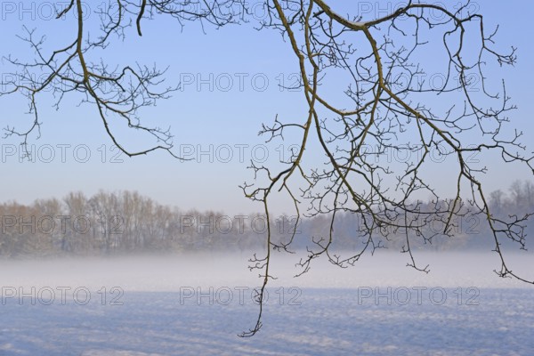 Winterlandschaft, aufsteigender Bodennebel im Licht der Morgensonne, Nordrhein-Westfalen,