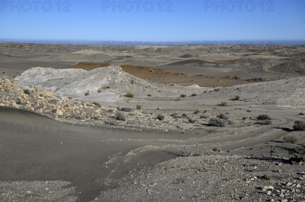 Wüstenlandschaft bei Pomona, im Hintergrund der Atlantik, Diamentensperrgebiet, bei Lüderitz,