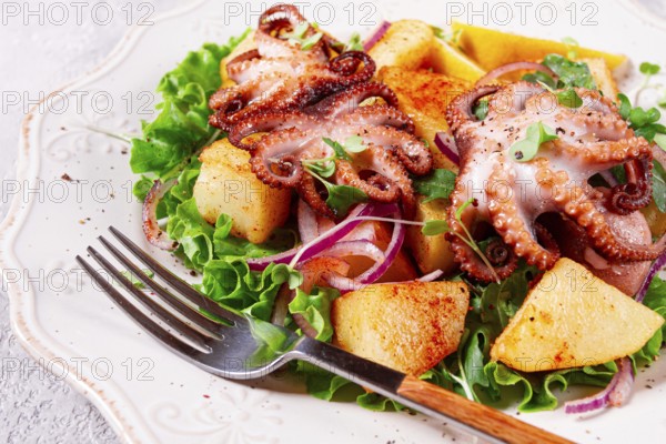 Grilled octopus with baked potatoes and fresh herbs, on a decorative light plate, homemade, no