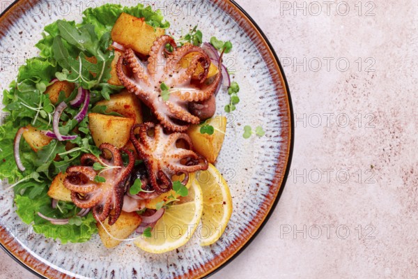 Grilled octopus with baked potatoes and fresh herbs, on a decorative plate, homemade
