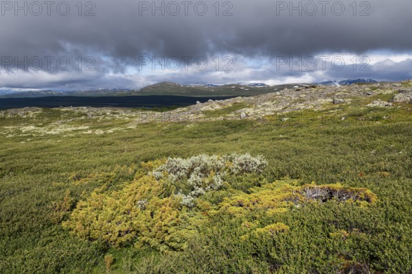 Weite, baumlose Gebirgslandschaft, tiefhängende Wolken, Pilgerweg Olavsweg, Olavsleden oder