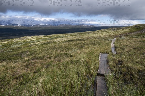 Schmaler Wanderweg durch Holzbohlen befestigt führt durch sumpfige, im Hintergrund bergige