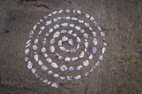 Shell mandala, circle made of shells on a granite rock, Bohus granite, Resö island, Bohuslän,