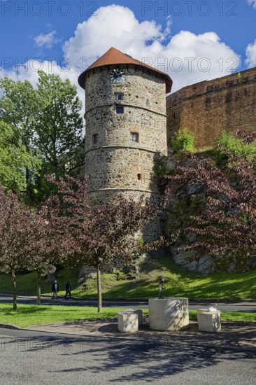 Mill tower, imperial palace of the Staufers in the Romanesque style, castle complex and
