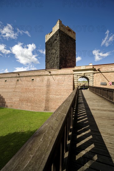Keep, Black Tower and Imperial Palace of the Staufers in the Romanesque style, castle complex and