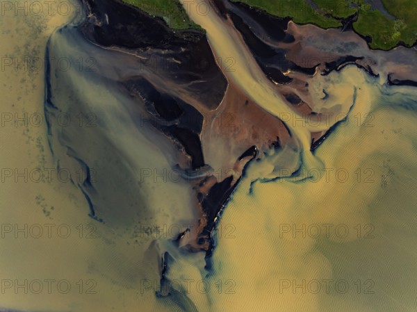 River, river course, river delta, branches, aerial view, wild river, summer, marshland, sediments,