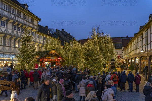 Christmas market and Christmas forest in the old town centre of Goslar at dusk, Lower Saxony,