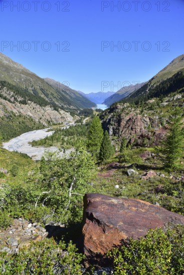 Hiking area above the Faggenbach in the Kaunertal, in the area of the Gepatsch Glacier in the