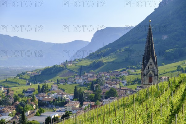 View over Tramin, South Tyrolean Wine Road, South Tyrol, Italy