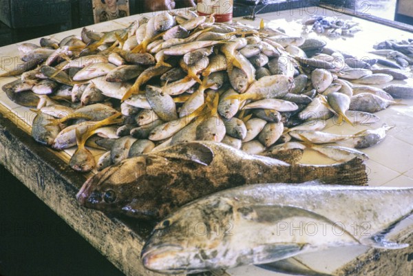 Fish for sale at retail fish market, East coast, Mersing, Johor, Malaya, Malaysia, south east Asia