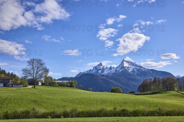 Mountain Watzmann, landscape photography, mountain landscape, mountains, meadow, coniferous forest,