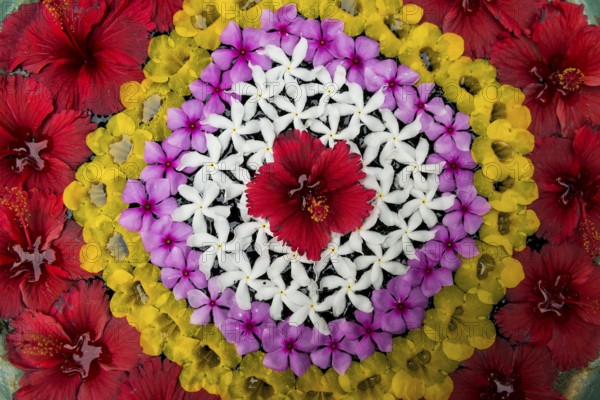 Flower decoration made of blossoms in a luxury resort, Klong Khong Beach, Sala Dan, Ko Lanta, Koh