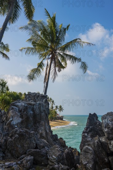 Rocks and coconut palms, Coconut Palm Beach, Sala Dan, Ko Lanta, Koh Lanta, Krabi Province,