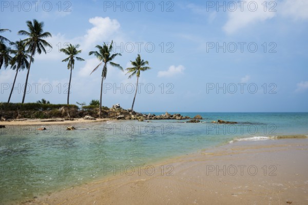 Sandy beach beach and coconut palms, Klong Khong Beach, Sala Dan, Ko Lanta, Koh Lanta, Krabi