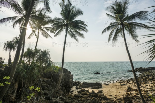 Sandy beach beach and coconut palms, Tricky-Trocky Beach, Sala Dan, Ko Lanta, Koh Lanta, Krabi