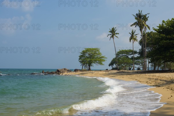 Sandy beach beach and coconut palms, Secret Beach, Sala Dan, Ko Lanta, Koh Lanta, Krabi Province,
