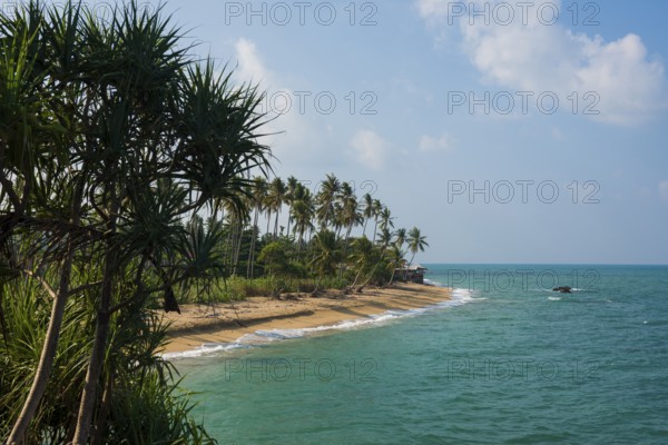 Sandy beach beach and coconut palms, Coconut Palm Beach, Sala Dan, Ko Lanta, Koh Lanta, Krabi