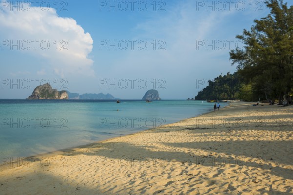 White sandy beach and coconut palms, Sunrise Beach, Koh Great white shark, Ko Ngai, Krabi Province,