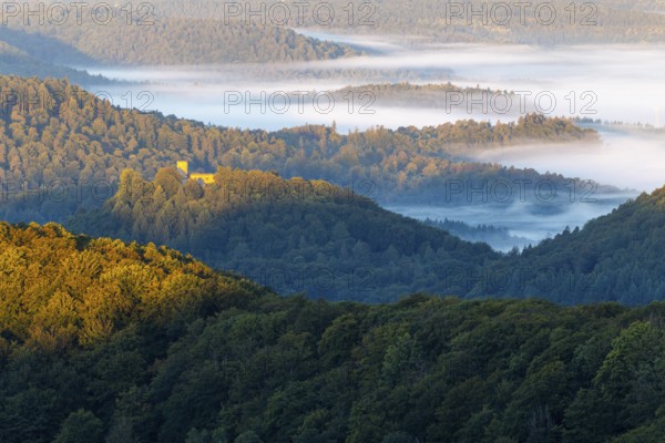 View over the Palatinate Forest, mixed forest, dawn, fog, Luipoldsturm, Hermansbergdorf,