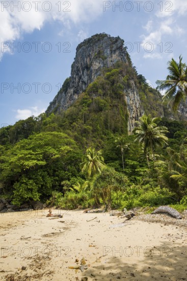 White sandy beach and coconut palms, Sabai Beach, Koh Mook, Trang Province, Southern Thailand,