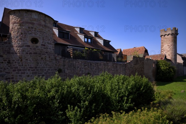 Historic city wall, defence defence tower, old town, Obernai, also Oberehnheim, Bas-Rhin,