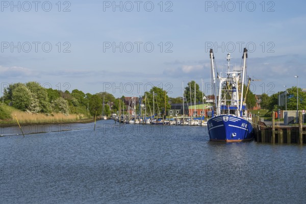 Fishing boats in the cutter harbour, outer harbour, Husum, North Frisia, North Sea,