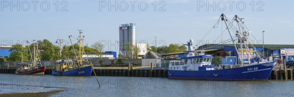 Fishing boats in the cutter harbour, outer harbour, panorama format, Husum, North Frisia, North