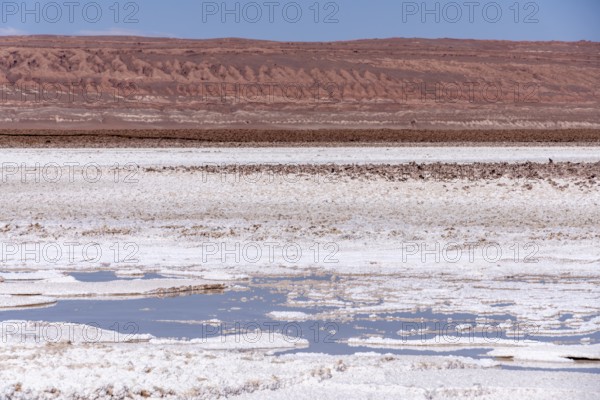 Coloured salt formations at the Lagunas Escondidas de Baltinache, Atacama Desert, Toconao, San