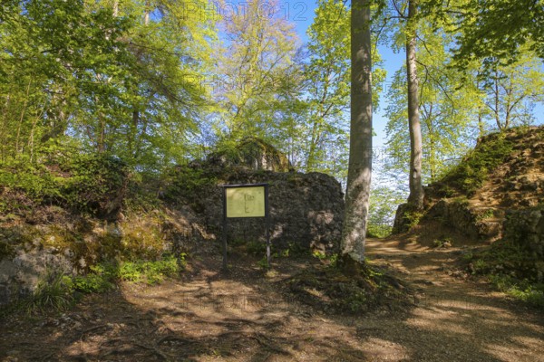 Ruin Alter Lichtenstein near Lichtenstein Castle, information board, site plan of the ruin, layout,