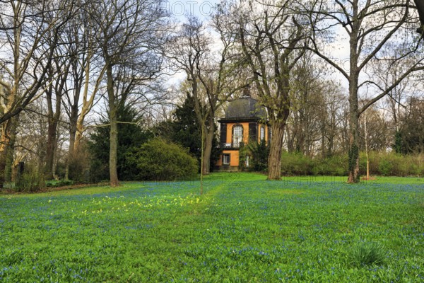 Scilla, blue stars and primroses in a meadow, Lindener Bergfriedhof with kitchen garden pavilion,