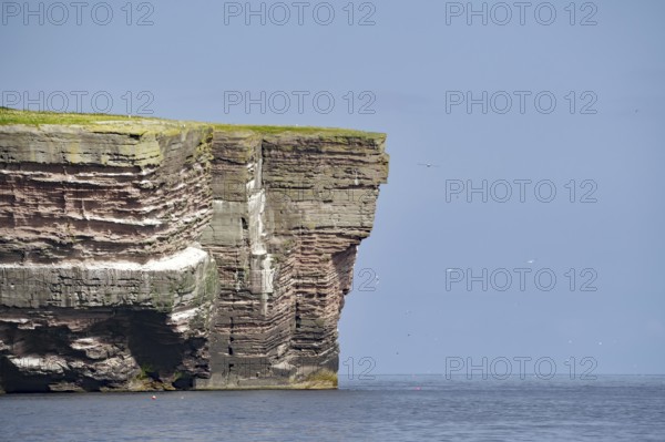 High cliff above the blue sea under a clear sky, Noss, Shetland Islands, Scotland, United Kingdom