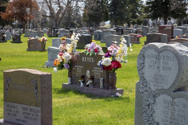Wheat Ridge, Colorado - Graves decorated for Easter in Crown Hill Cemetery, also known as Olinger