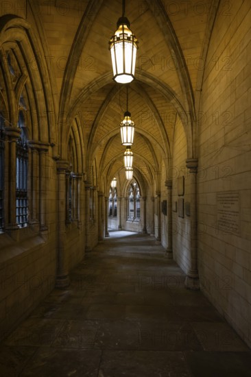 Illuminated neo-Gothic archway, St Mary Abbot Church, Kensington, London, England, Great Britain