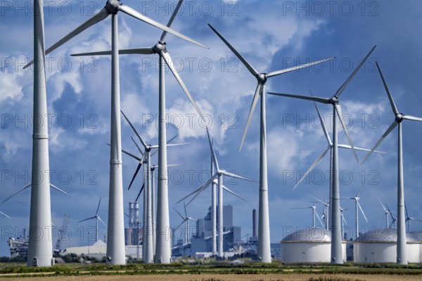 Wind farms Westereems and Growind, in the north of the Netherlands, near Eemshaven, energy centre,