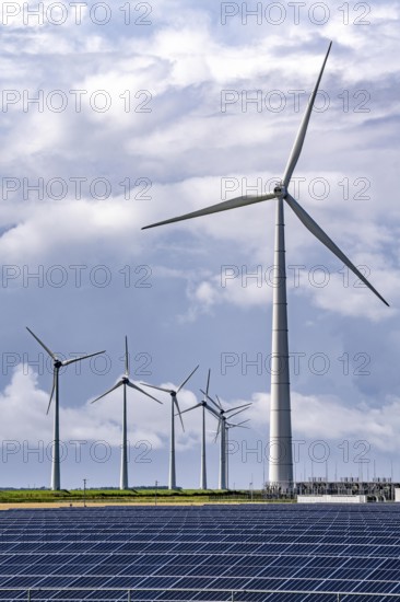 Vopak Solarpark Eemshaven, 19 hectares of solar modules with a capacity of 25 megawatts, around the