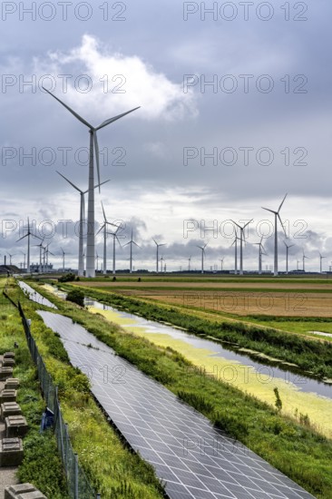 Solar park on the Slaperdijk dyke near Eemshaven, test project, 17, 000 solar modules were