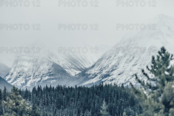 Winter road trip on the Icefields Parkway with lots of snow and ice, Banff National Park, Jasper