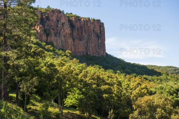 Gorge with red rocks, Gorges du Blavet, Bagnols-en-Forêt, near Saint-Raphaël, Massif de l'Esterel,