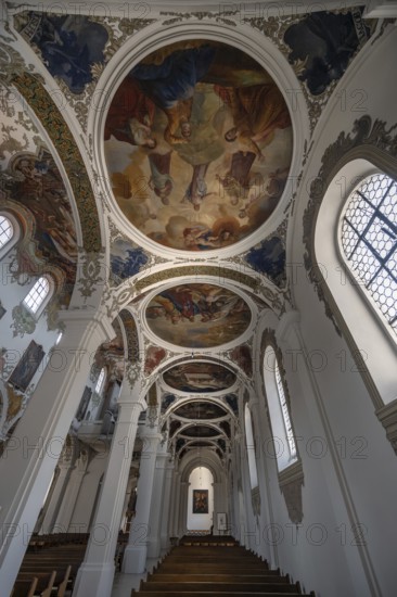 Side wing with dome paintings in St Martin's Church, Biberach an der Riß, Baden-Württemberg,