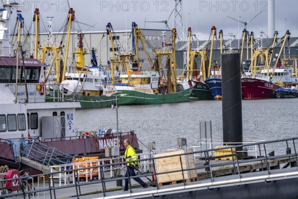 Fishing boats in Beatrixhaven, the seaport of Eemshaven, industrial harbour, at the quay,