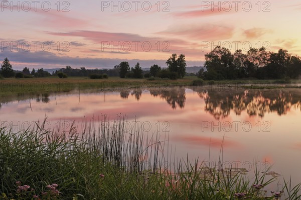 Morning atmosphere at a pond in the Schoren nature reserve, Mühlau, Freiamt, Canton Aargau,