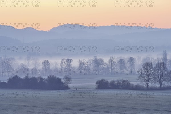 Meadows and trees in the early morning mist in the light of dawn, Reusstal, Aristau, Freiamt,