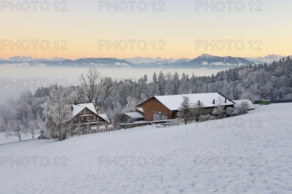 Farm in a freshly snow-covered landscape, behind the Alps with Rigi, Horben, Freiamt, Canton