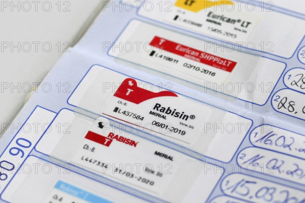 Germany - August 2nd 2025: Rabies vaccination proof with Rabisin sticker in European dog passport