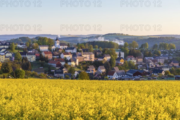 Village view with church and rape field in the morning, Grünhainichen, Erzgebirgskreis, Saxony,