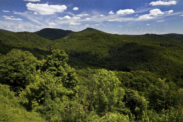 Siebengebirge, low mountain range on the right bank of the Rhine, Königswinter, North
