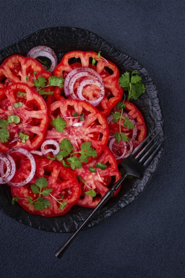 Freshly sliced tomatoes and red onions, garnished with herbs, on a black plate, summer salad, no
