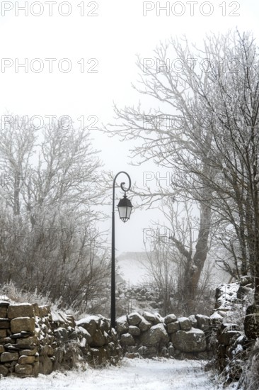 A vintage lamp post stands still amidst a snowy landscape, surrounded by frosty trees and a stone