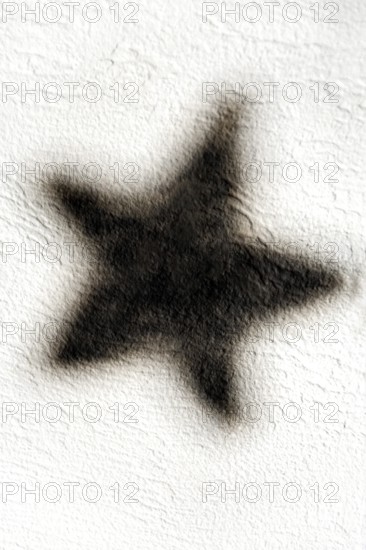 A dark star-shaped shadow is visible on a light-textured wall, creating a striking contrast that