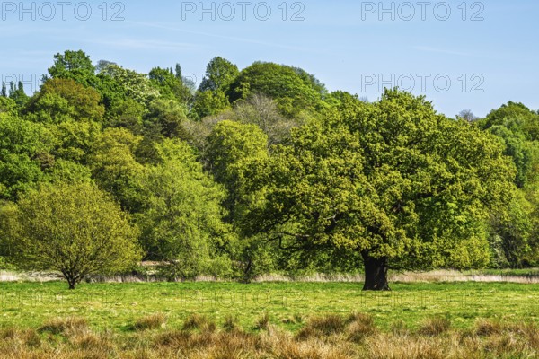 Shugborough Estate, National Trust House and garden, Great Haywood, Staffordshire, England, United